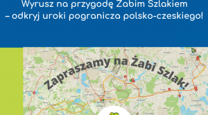 Obrazek domyslny serwisu strumien.pl